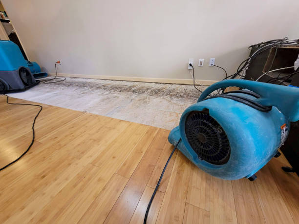 Professional Water Removal technician working in Newberry, FL